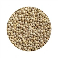 Sfera in ceramica con vitamina C per filtro doccia